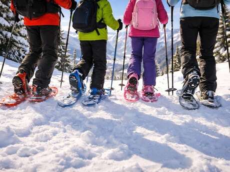 RANDONNÉE ACCOMPAGNÉE EN RAQUETTE