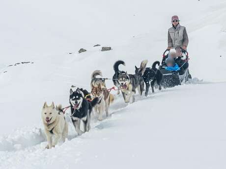 LA FILLE AUX LOUPS-CHIENS DE TRAINEAU