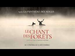 Projection du film : Le chant des forêts