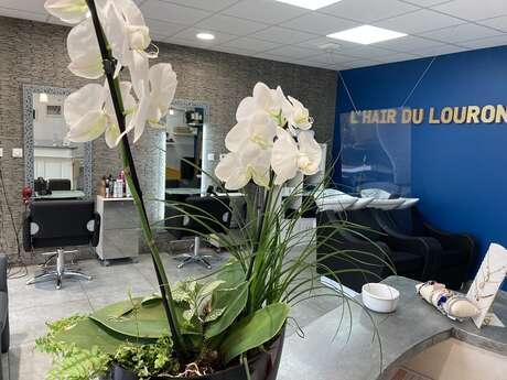 COIFFURE - L'HAIR DU LOURON