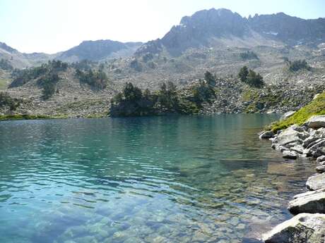 LAC NERE