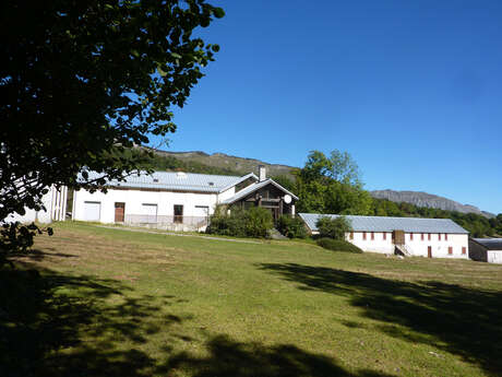 LA SALAMANDRE