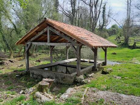 LAVOIR TIBIRAN JAUNAC