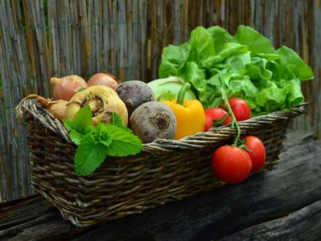 LE POTAGER DE CYLU