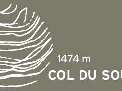 Exposition photos et sculptures bois :  De la Saligue à la Cime