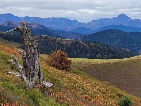 LE MONT ASPET
