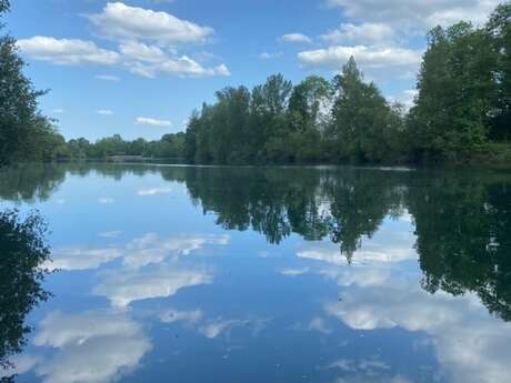 ÔCYBELLES VERTE
