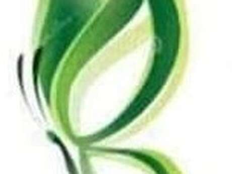 PAPILLON VERT