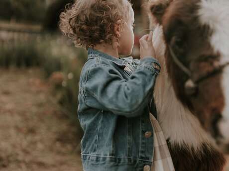 ATELIER PONEY DECOUVERTE