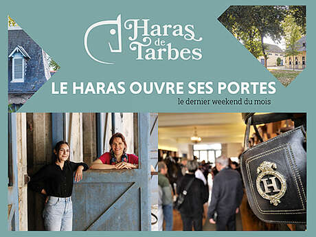 Portes ouvertes du Haras