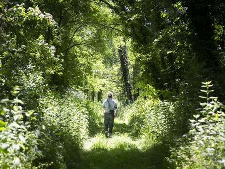 Balade découverte et repas