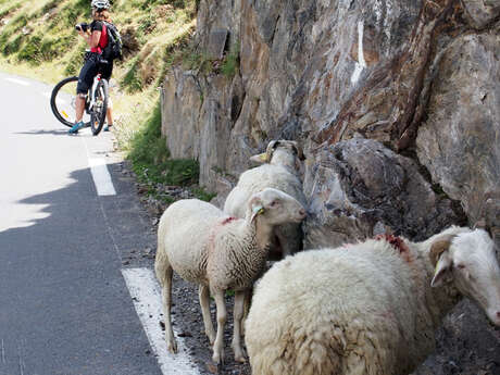 LES VILLAGES DU PAYS TOY A VELO
