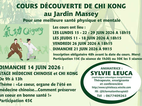 Cours découverte de Chi kong