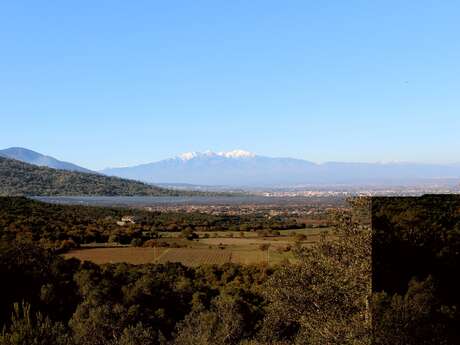 LE CHEMIN DU LIEGE (CIRCUIT 4)