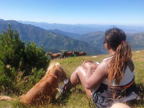 EXCURSION VERS LE CANIGOU EN 4X4 AVEC PASSCANIGO