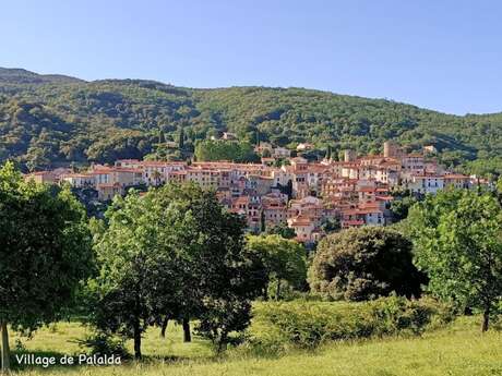 CHEZ SUZANNE- APPARTEMENT VALLESPIR