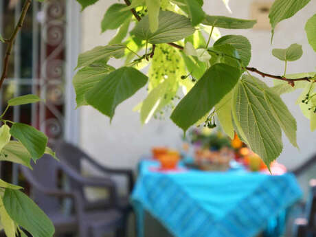 LE TILLEUL DU PARC DE LA DAME