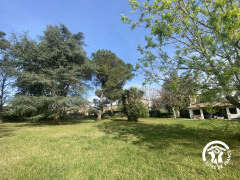 LE CÈDRE DU PARC DE LA DAME