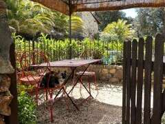 OLIVIER AU MAS PICAGNOL