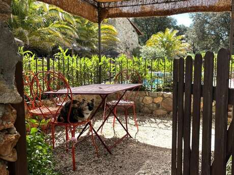 OLIVIER AU MAS PICAGNOL