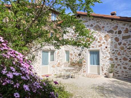 WISTERIA AU MAS PICAGNOL