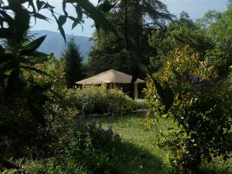 LE CHANT DES OISEAUX