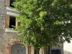 LA MAISON AU TILLEUL