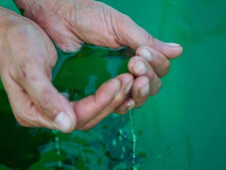 ALG’ ETHIC LA SPIRULINE CATALANE