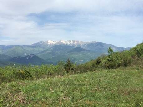 CIRCUIT VTT HAUT VALLESPIR - N°2 LA BALADE VERTE