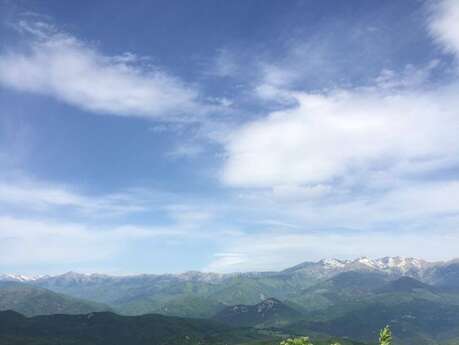 CIRCUIT VTT HAUT VALLESPIR - N°9 DU MONT CAPELL AU BOIS DE LA VILLE