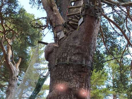 REFUGE DE L'OURS - PARCOURS AVENTURE - ACCROBRANCHE