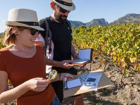 VIGNOBLES EN SCENE - ESCAPE GAME DANS LES VIGNES AVEC VINO ENIGMA