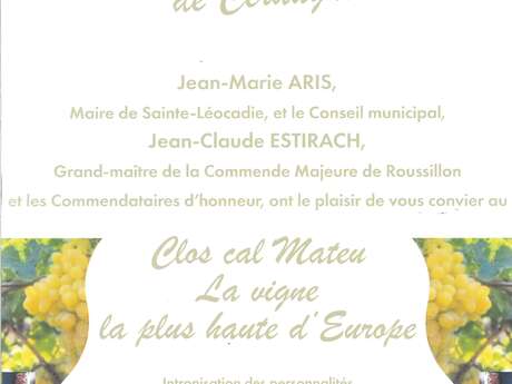 VENTE DU VIN CLOS CAL MATEU