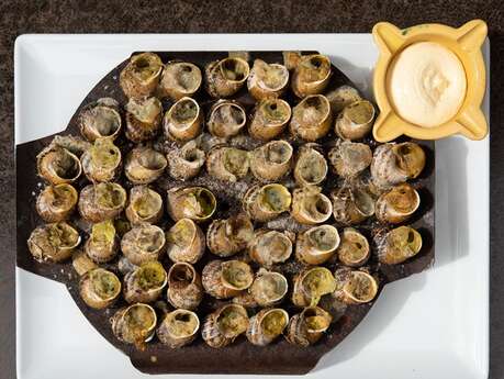 LE JARDIN DE COLLIOURE