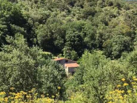 LA MAISON DE LA GUERISON