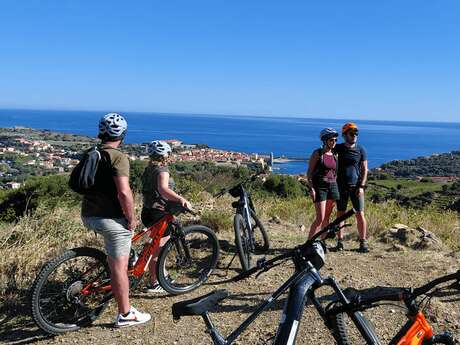 BALADE OENOTOURISTIQUE EN VTT ÉLECTRIQUE À COLLIOURE