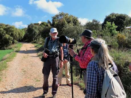 BALADES NATURALISTES DU MARDI