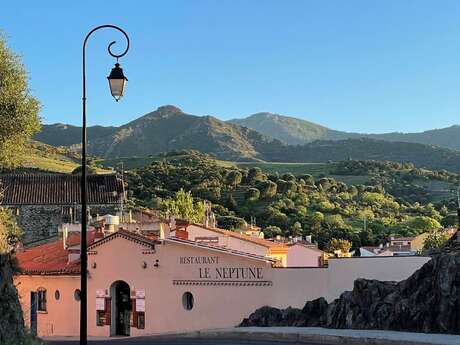 LE NEPTUNE