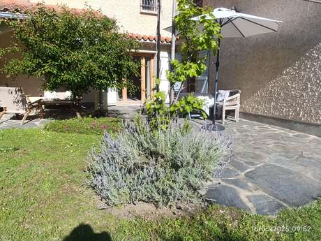 MÉLODIE DU CANIGOU - TILLEUL