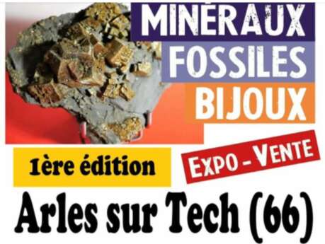 1 ÉDITION EXPO - VENTE MINERAUX FOSSILES BIJOUX