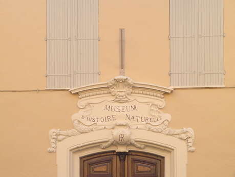MUSEUM D'HISTOIRE NATURELLE