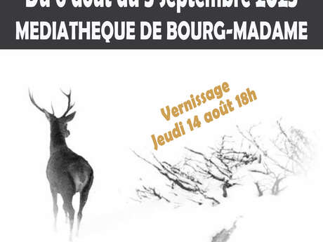 EXPOSITION PHOTO "SABINE KALDARAS-JEULIN"