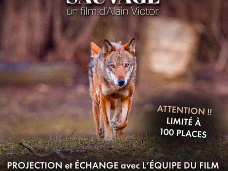FILM "1 AN AVEC LE SAUVAGE" D'ALAIN VICTOR