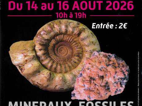 BOURSE AUX MINERAUX, FOSSILES & BIJOUX