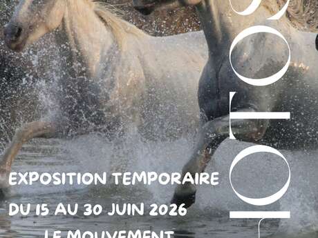 EXPOSITION BANYULS IMAGES