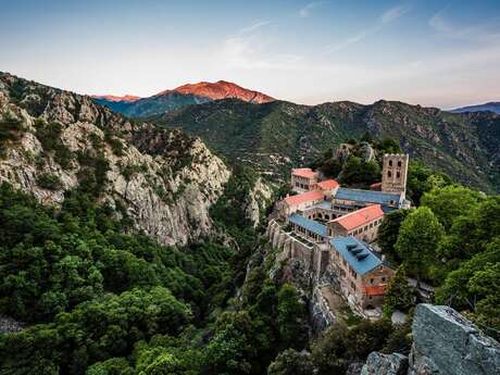 ABBAYE DE SAINT MARTIN DU CANIGOU
