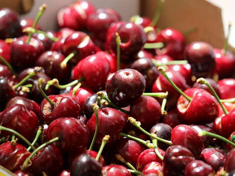 FÊTE DE LA CERISE 2026