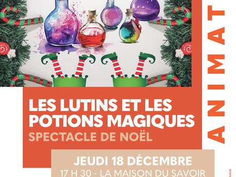 LES LUNTINS ET LES POTIONS MAGIQUES