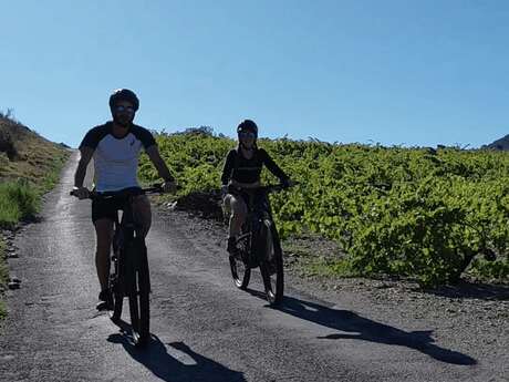 RANDONNÉE EN VTT ÉLECTRIQUE SUR LES HAUTEURS DE COLLIOURE