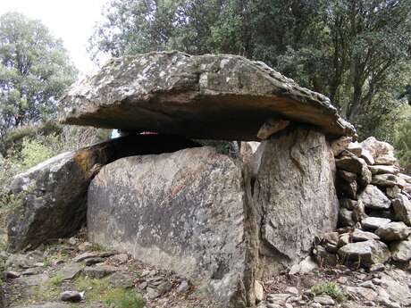 LA BALMA DEL MORO DOLMEN